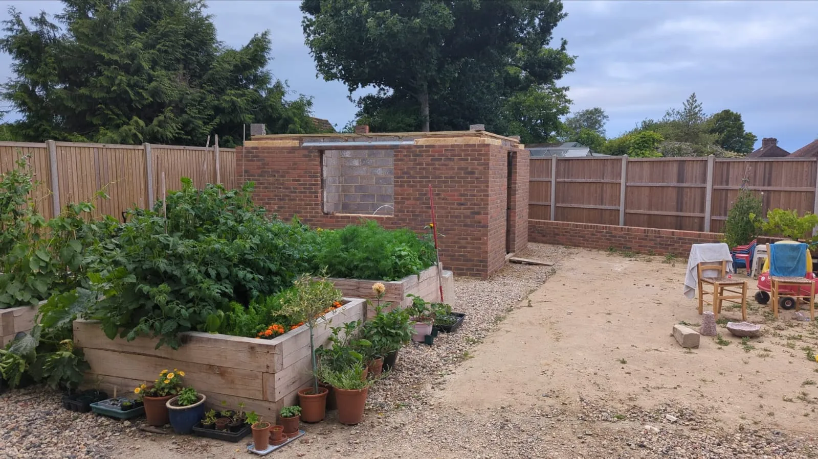 a backyard garden with a lot of plants in it